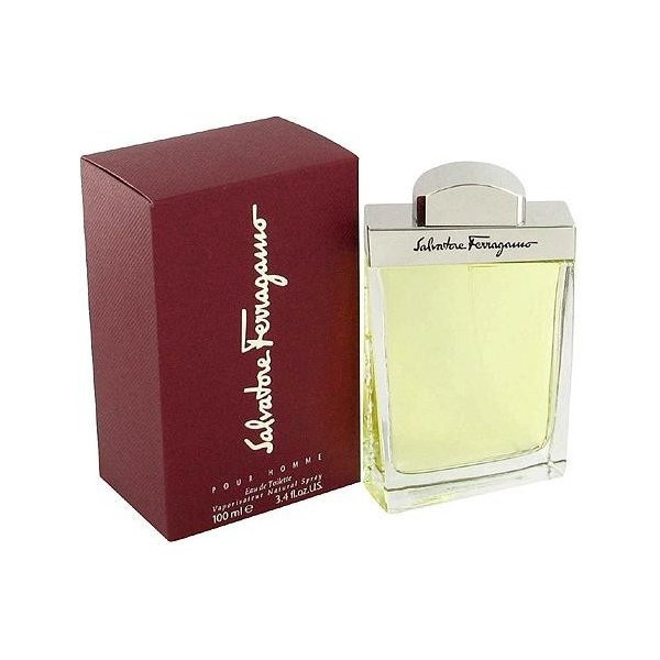 pico dividir Auroch Salvatore Ferragamo Salvatore Ferragamo Eau de Toilette Spray 100ML