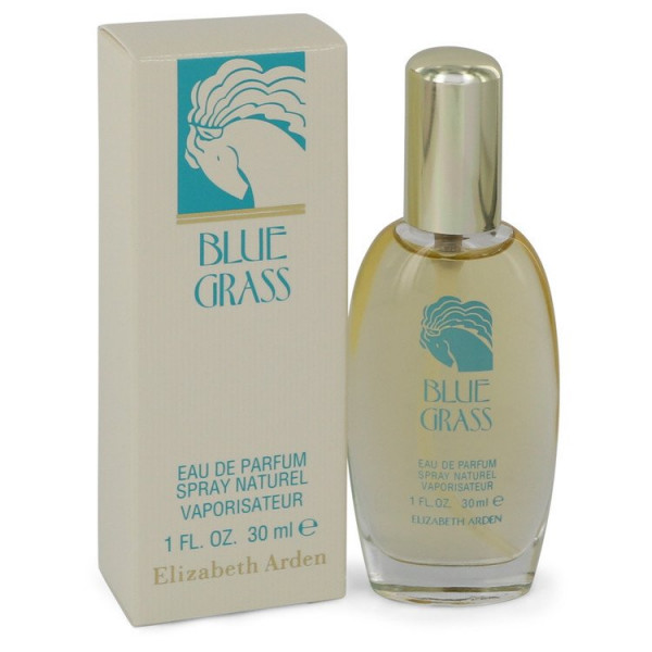 elizabeth arden blue grass gift set