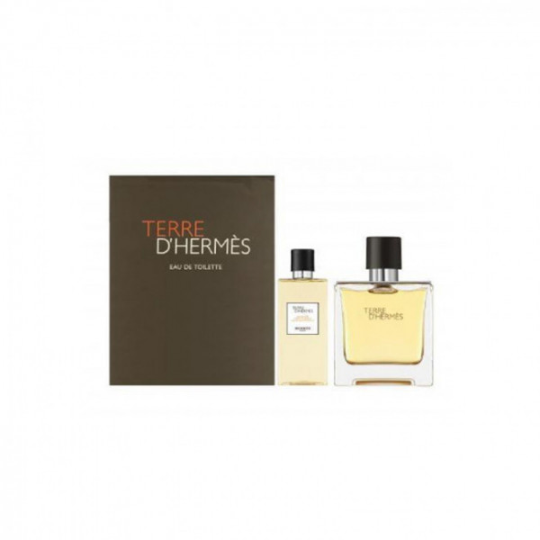 Hermes Terre D'Hermes by Hermes 2 Piece Gift Set - 3.3 oz Eau de Toilette Spray, 2.7 Shower Gel for Men 3.3 oz, Men's