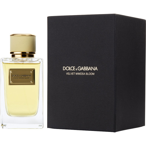 Velvet Mimosa Bloom Dolce & Gabbana