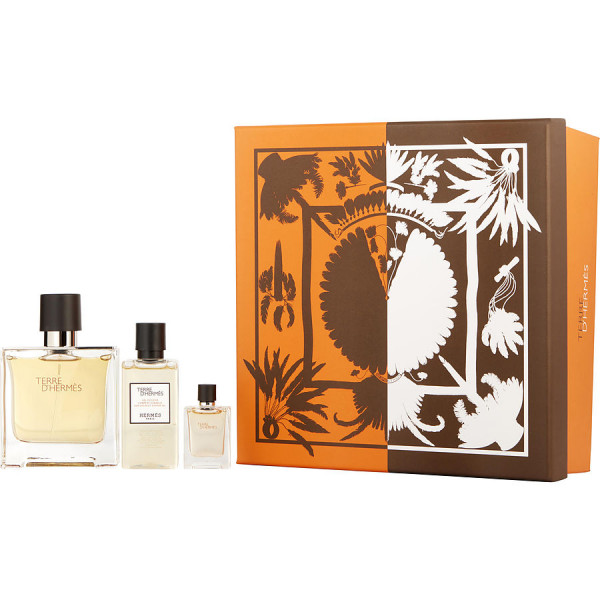 Terre D'Hermès Hermès