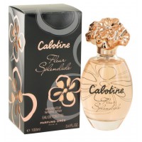 Cabotine Fleur Splendide