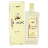 Héliotrope Blanc