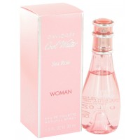 Cool Water Sea Rose