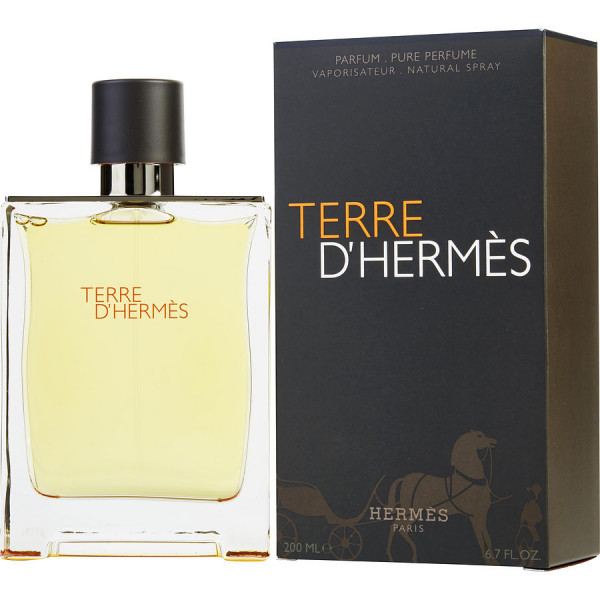 Terre D'Hermès - Hermès Parfum Spray 200 ML
