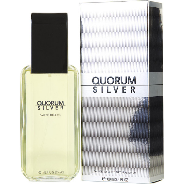 Quorum Silver - Antonio Puig Eau De Toilette Spray 100 ML