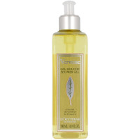 Verveine