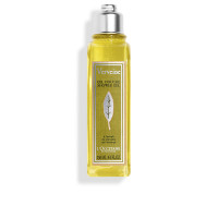 Verveine