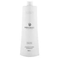 Eksperience densi pro