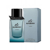 Mr Burberry Element