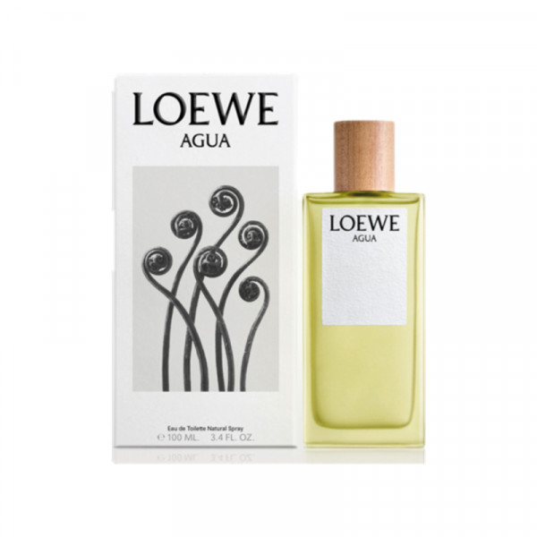 Agua - Loewe Eau De Toilette Spray 100 Ml