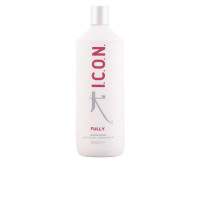 Fully antioxydant shampoo
