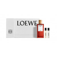 Solo Loewe Cedro