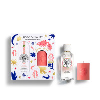 Fleur De Figuier