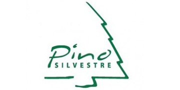 Pino Silvestre